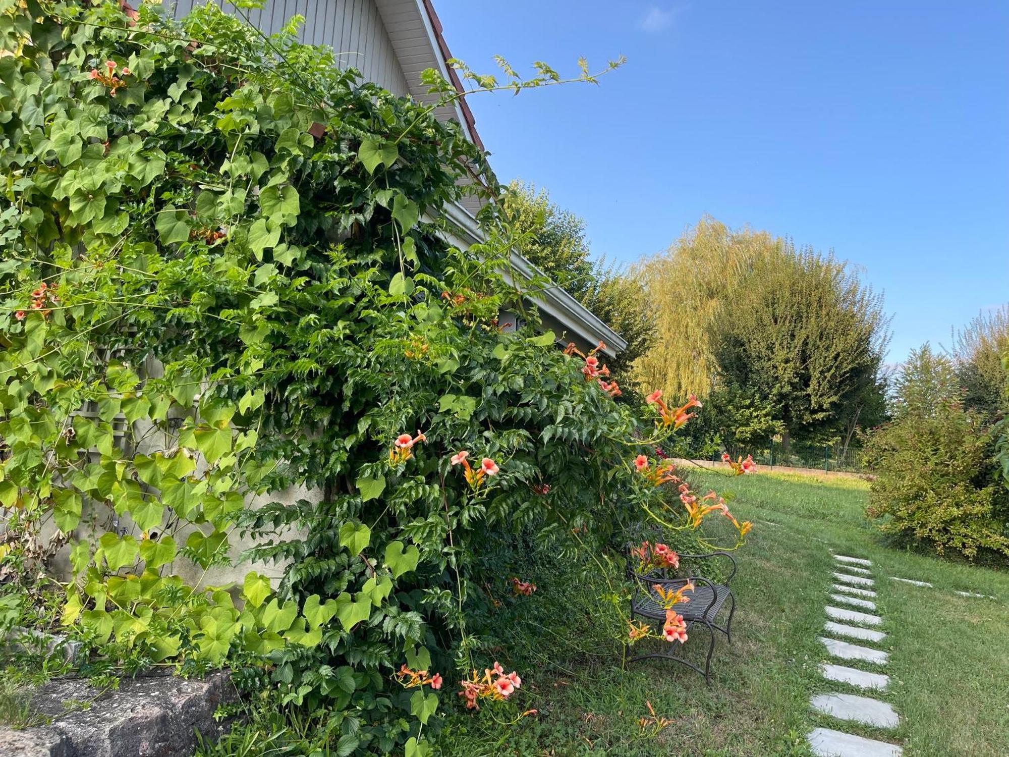 Tulipes Et Cetera Waldighoffen Exterior foto